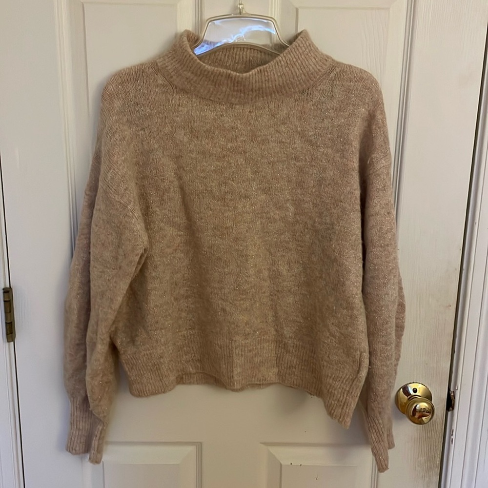 H&M Sparkly Turtleneck Sweater